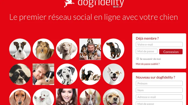 Facebook-ul cainilor. 3 francezi au lansat o retea de socializare pentru cei mai buni prieteni ai oamenilor