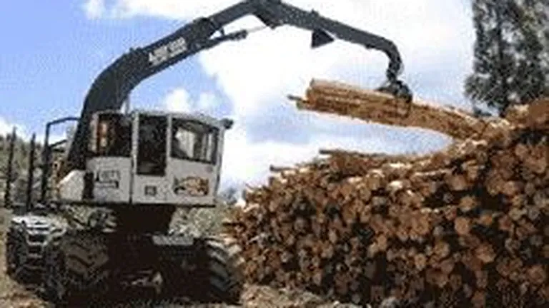Top 10 companii de prelucrare a lemnului: Afaceri in scadere pentru liderul Holzindustrie Schweighofer