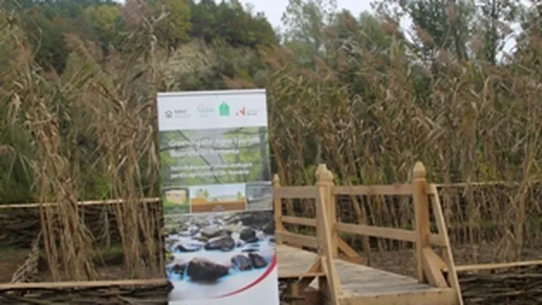 Premieră pentru agroturismul din România: Stații de epurare biologice cu stuf, inaugurate în Maramureș