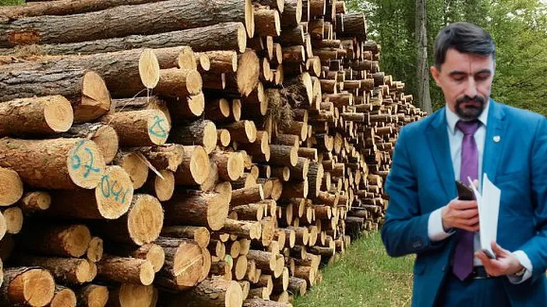 După ce prețul lemnului de foc a fost plafonat, transporturile ilegale de lemn s-au înmulțit. Un lider al UDRM susține că un voucher în valoare de 150 de lei ar putea schimba această situație
