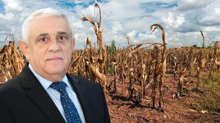 761.000 de hectare din România au fost pustiite de secetă, avertizează MADR