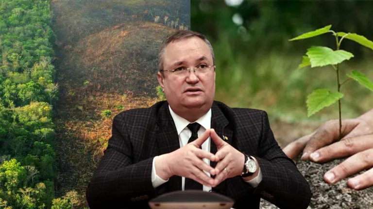 Program național de împădurire, lansat de Guvern. Nicolae Ciucă: „un program care oferă speranță pentru generațiile viitoare că vor trăi într-un mediu mai puțin poluat”