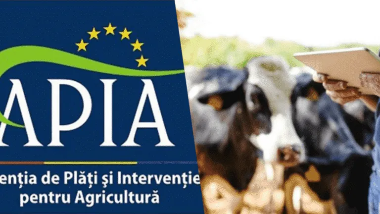 Plăți APIA 2022. A fost afișată lista pe județe cu fermierii care au încasat avansul