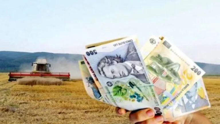 Cum poți primi 200.000 de euro de la stat! PNS aduce noi beneficii pentru români