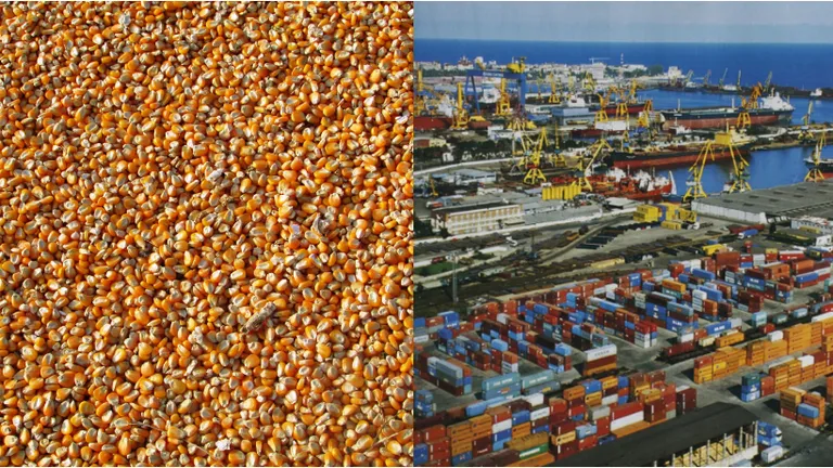 Cerealele din Portul Constanța vor fi stocate într-un nou terminal. Capacitatea maximă depășește 600.000 de tone