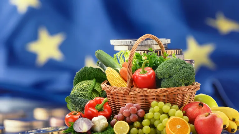 În România, peste 40% din populație nu își poate permite o dietă sănătoasă, arată o analiză a Comisiei Europene. Cum va evolua industria alimentară în UE în 2023