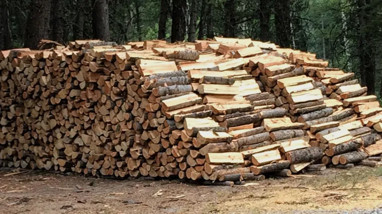 Tanczos Barna neagă că ar exista o criza a lemnului pentru foc: „S-a vândut mai mult decât în 2021. Se găsesc lemne de foc pe piaţă”