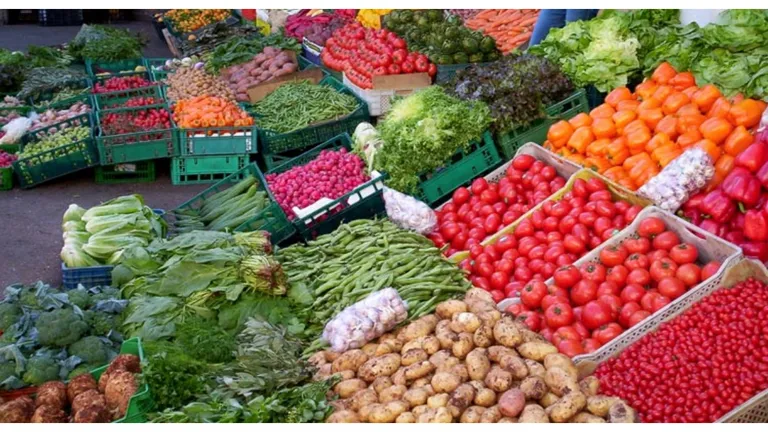 Toți producătorii și comercianții de produse agricole și alimentare vor fi obligați să raporteze lunar stocurile către stat