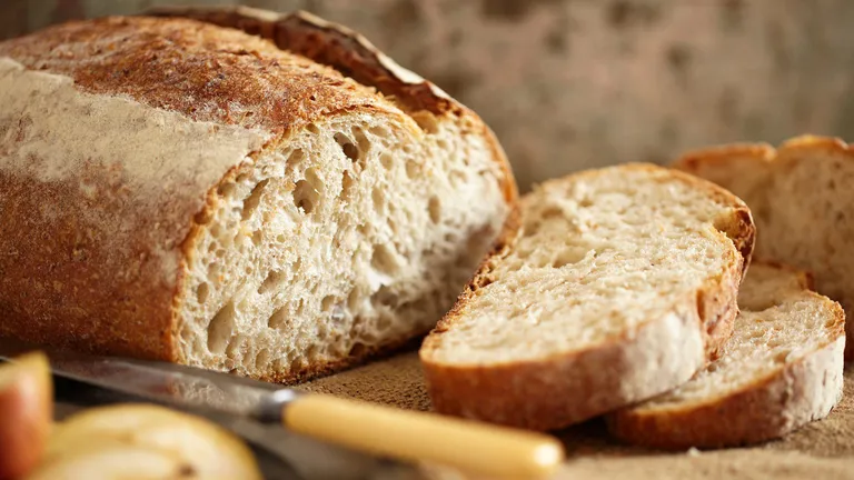 A fost creată făina din care se face pâinea care ne ţine de foame 4 ore şi scade și riscul mai multor boli