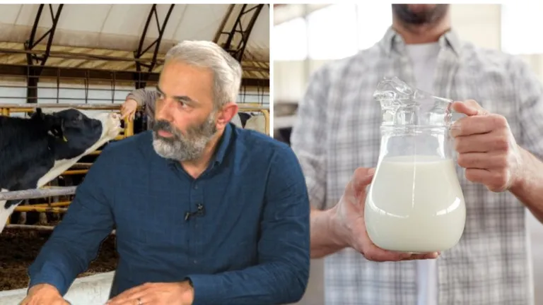 Criza din sectorul laptelui din România continuă. Munca crescătorilor de vaci atârnă de un fir de ață. Ionuț Lupu: „Probabil din mai, iunie, iulie, situaţia se cam termină pentru noi”