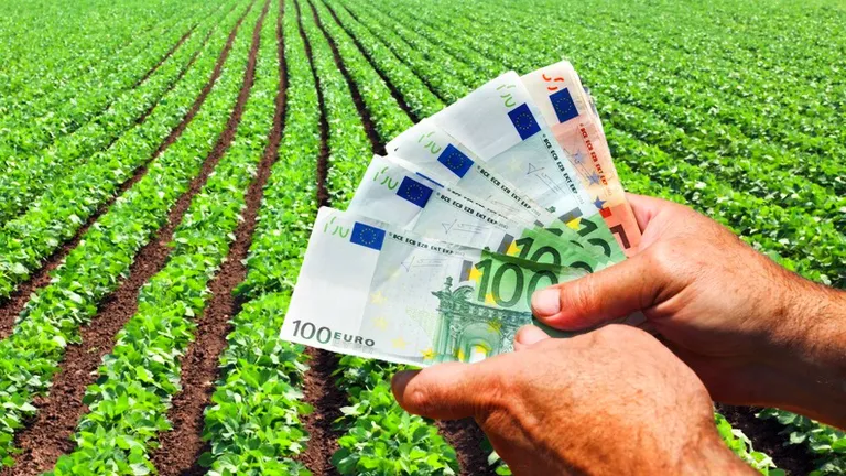 Pentru ce culturi poți obține subvenții de mii de euro la hectar în 2023