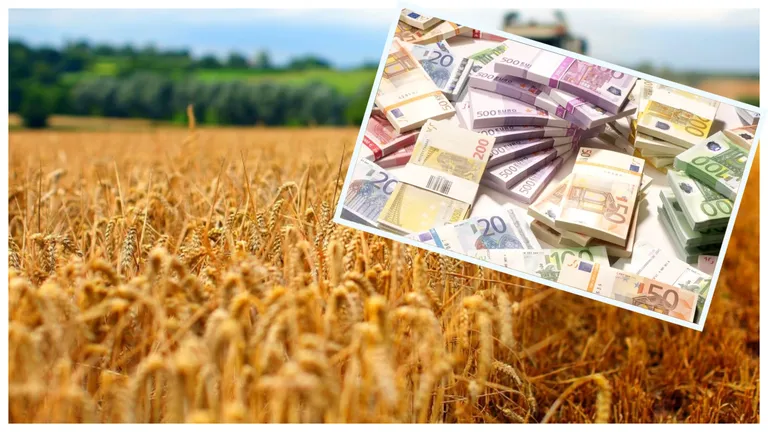 Finalul de weekend vine cu vești bune pentru români! Fermierii vor beneficia de ajutoare majorate. Comisia Europeană a decis