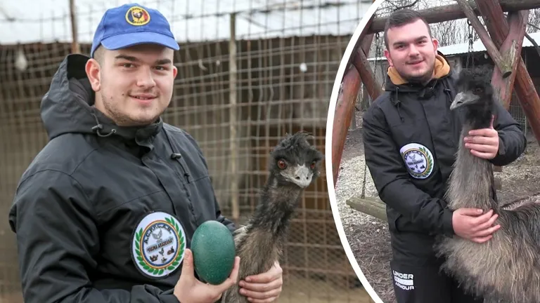 Afacerea care l-a ajutat pe un român de 19 ani să dea lovitura. Crește păsări exotice, iar un singur ou se vinde și cu 150 de lei