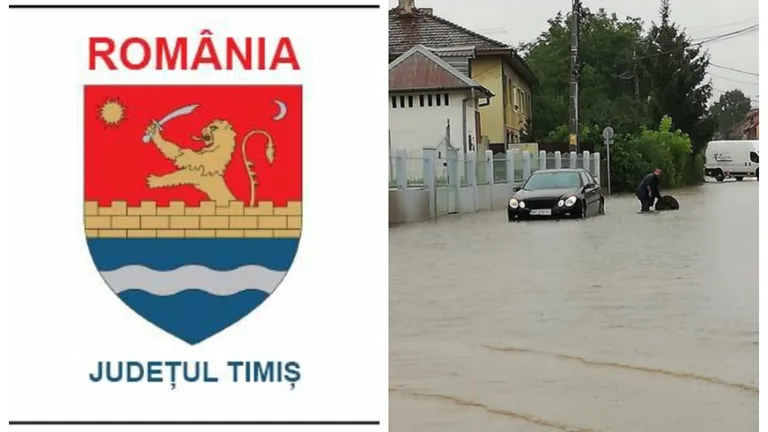 Pagube de 2 milioane de lei provocate de inundațiile din Timiș. Mihai Ritivoiu a solicitat sprijin de la Guvern