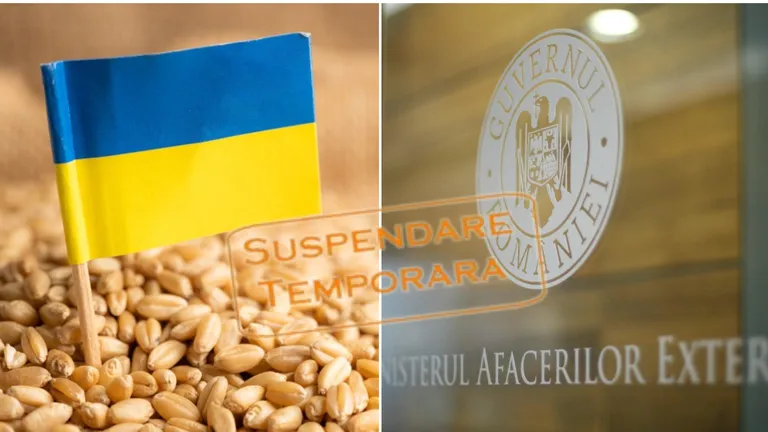 Încep negocierile în criza cerealelor! MAE solicită un acord de suspendare temporară a exporturilor din Ucraina