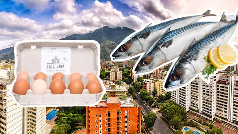 Țara unde salariul minim îți ajunge doar ca să cumperi două kilograme de pește sau jumătate de cutie de ouă cu salariul minim