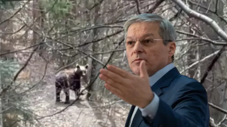 Dacian Cioloș a avut parte de o întâlnire neașteptată. Președintele REPER a dat de un urs în pădure: „România este minunată și plină de surprize”