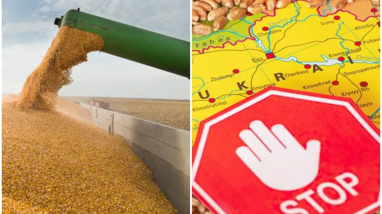 O nouă rută pentru cerealele ucrainene! SUA, România și Republica Moldova se implică în creșterea exporturilor de cereale ale Ucrainei
