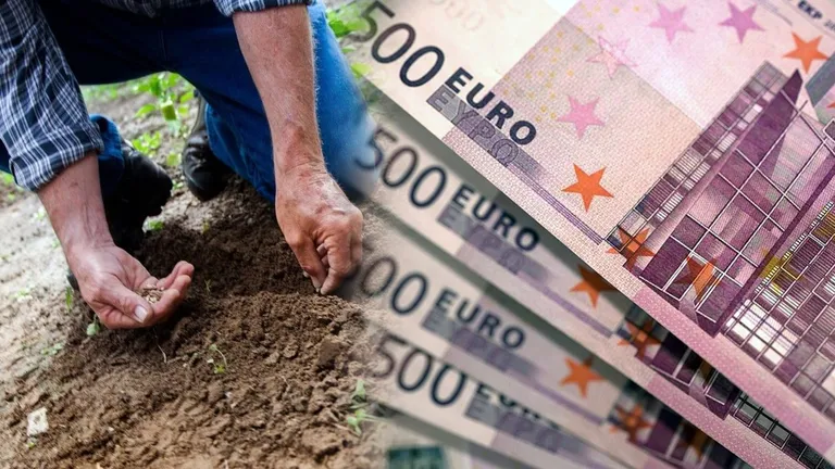 Subvențiile de 3.000 de euro/hectar pentru micii fermieri vor intra în conturile acestora în săptămânile următoare