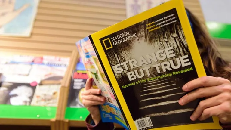 Celebra revistă National Geographic și-a concediat toți redactorii din echipă. „Schimbările de personal nu vor schimba capacitatea noastră de a face această muncă”