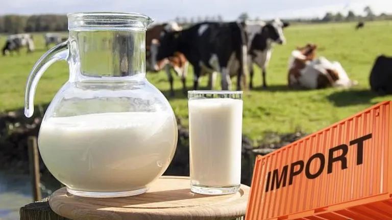 Necesarul de lapte din România este acoperit 50% din import. Țările din care este adus alimentul