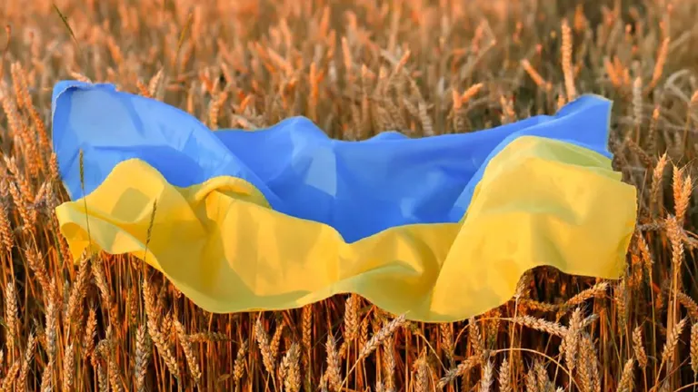 Ucraina ia în calcul o nouă rută pe Marea Neagră pentru exportul de cereale