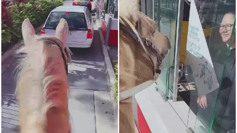 O femeie a mers călare pe un cal la McDonald's ca să își cumpere cafea. Imaginile au devenit virale