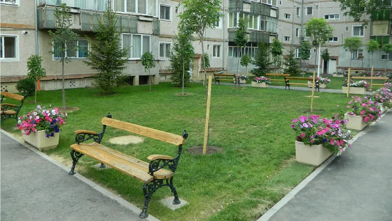 Amenzi uriașe pentru locatarii de la bloc. Ce sancțiuni primesc românii care nu fac curat în grădină