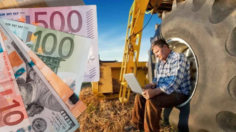 Bani pentru fermierii români. Se dau până la 280.000 de euro