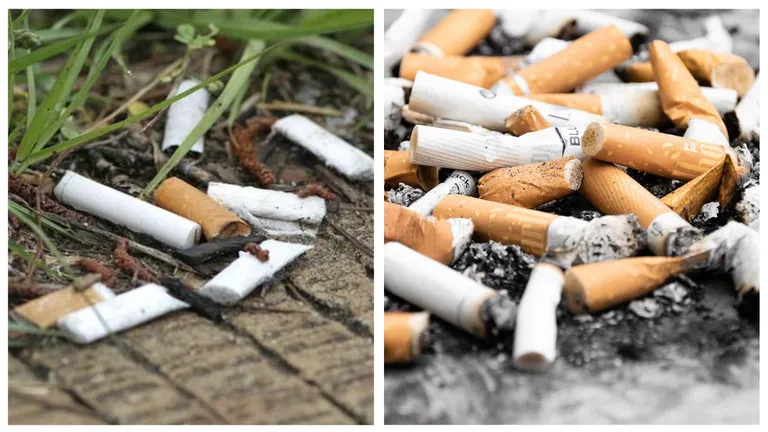 Producătorii de țigări cu filtru, obligați să colecteze deșeurile începând cu acest an. Ce măsuri sunt necesare în acest scop
