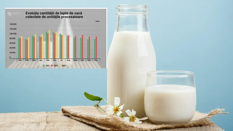 INS anunță o creştere cu 11,4%, în primele 7 luni a cantităţii de lapte de vacă pe care unitățile procesatoare au colectat-o