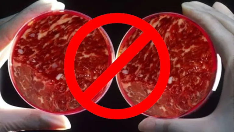 Legea cărnii a fost modificată! Carnea artificială este acum interzisă în România