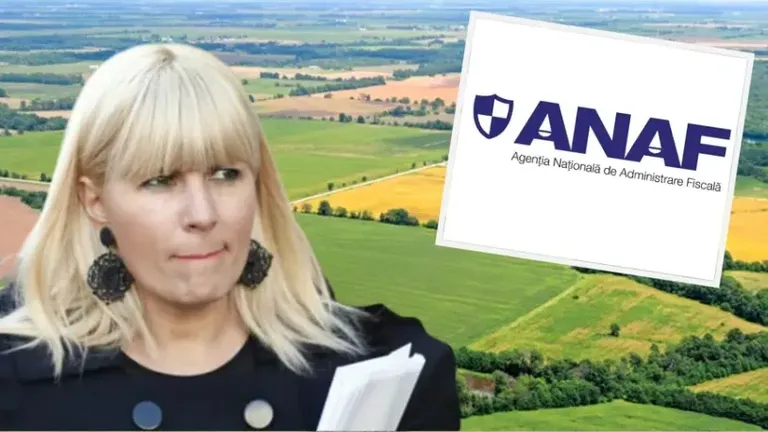 Cu cât vinde ANAF terenurile confiscate de la Elena Udrea, fost ministru, şi Crinuţa Dumitrean, fosta şefă de la ANRP