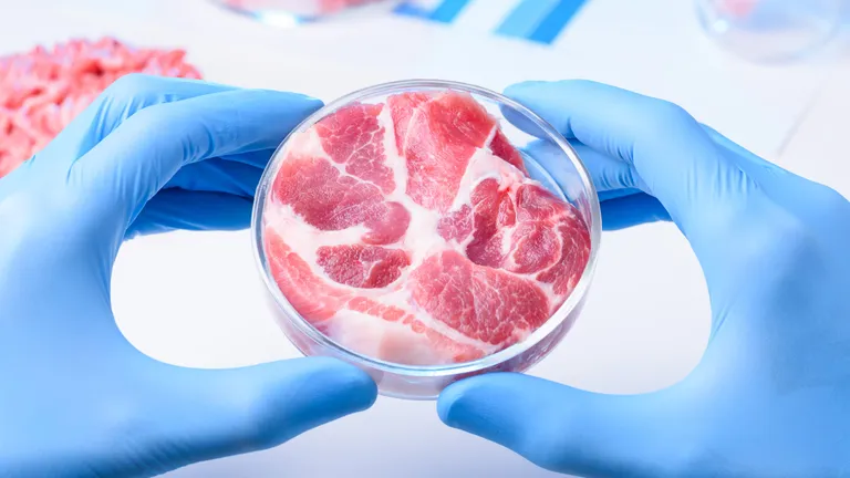 Italia a interzis carnea produsă în laborator. Oamenii au ieșit în stradă să protesteze VIDEO