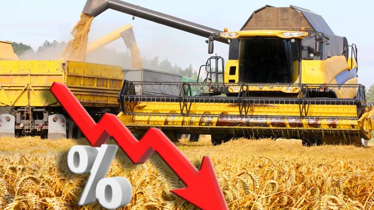 Producția de cereale are o scădere procentuală de 9% în 2022, comparativ cu anul precedent. România înregistrat scăderi de 32%!