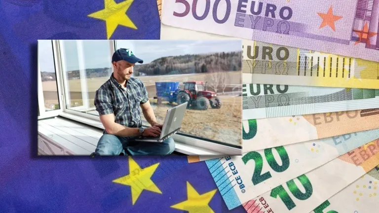 Fonduri europene noi, disponibile din 20 decembrie. Care sunt românii care le vor putea accesa