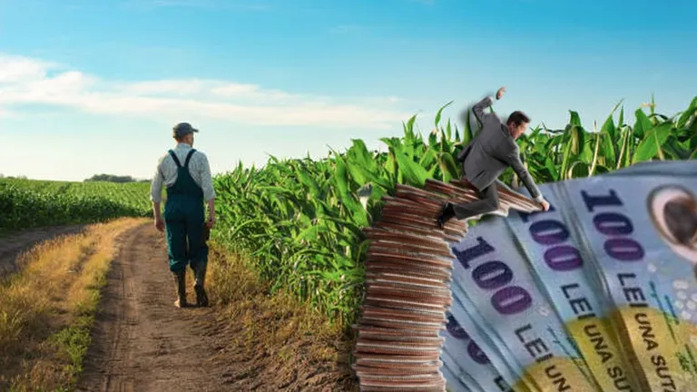 Un tânăr fermier a intrat în faliment după ce a accesat fonduri europene. Iată cum s-a întâmplat!
