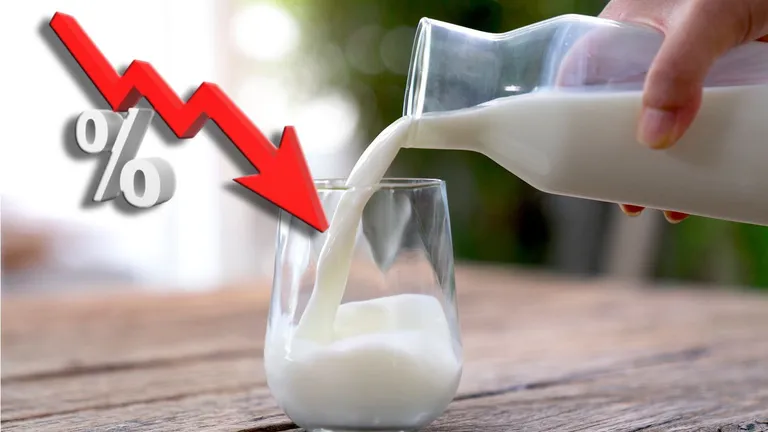 INS: Importurile de lapte brut au scăzut cu 27,5%