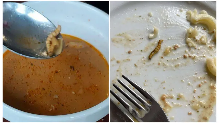 Revoltător! Mâncare cu viermi la Școala de Poliție din Cluj-Napoca. Elevii au făcut poze și au fost puși să le șteargă - FOTO