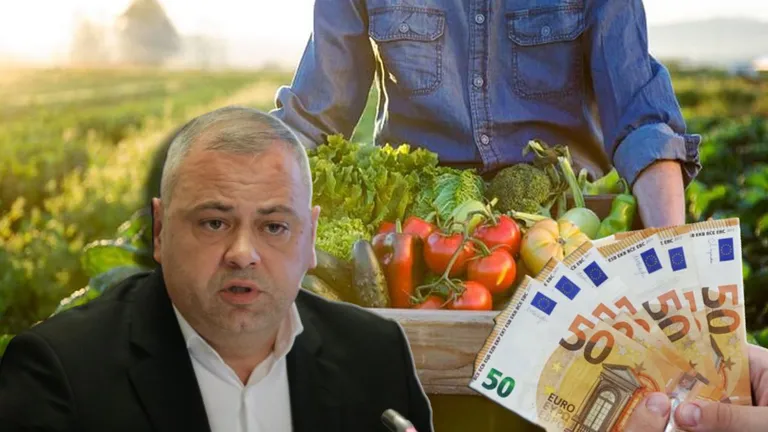 Subvenție la inputuri pentru fermierii din România. Planul stabilit de ministrul Agriculturii 