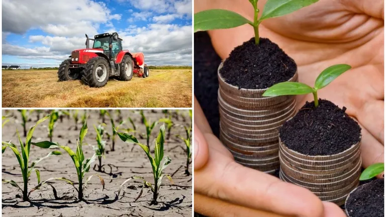 Noi măsuri de sprijin pentru producătorii agricoli. Cei care sunt afectaţi de secetă pot beneficia de suspendarea ratelor la credite