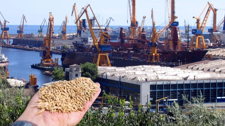 Cantitatea de cereale ucrainene transportată prin portul Constanța a scăzut cu 38% în ianuarie 2024 față de 2023