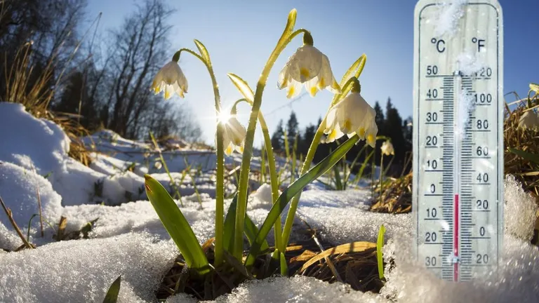 Meteo 1 și 8 martie. ANM anunță când vine primăvara în România
