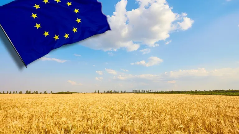 Negocieri la Bruxelles pentru limitarea importurilor de cereale din Ucraina. CE a propus plafonări pentru trei produse „sensibile”