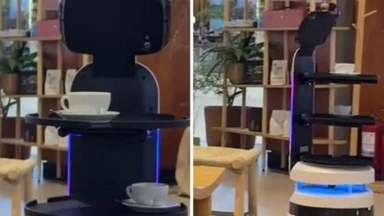 VIDEO Chelneri roboți la un restaurant din Cluj. Cât costă un asemenea android tehnologic