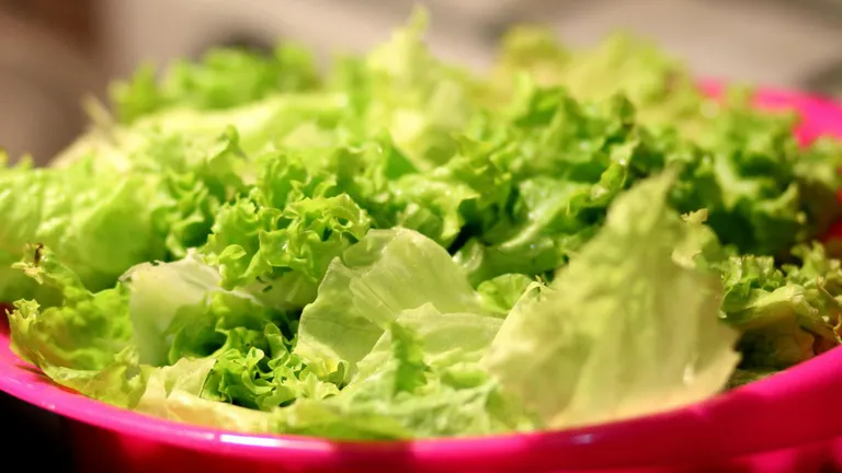A apărut salata verde iute! Afacerea cu leguma verde ajunge la cote înalte în 2024