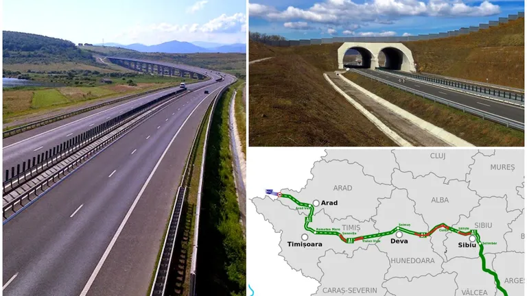 Lucrările la Autostrada Sibiu-Nădlac, puse pe pauză. Cum riscă România să piardă 356 de milioane de euro din cauza urşilor