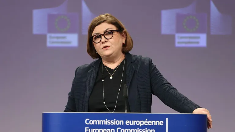 Adina Vălean, despre aderarea completă a României la Schengen: „Se poate să intrăm anul acesta, se poate să mai aşteptăm foarte multă vreme”