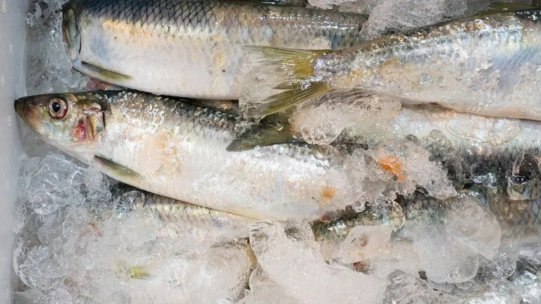 Alertă pentru românii care vor cumpăra pește de Florii. ANPC, mesaj pentru consumatori