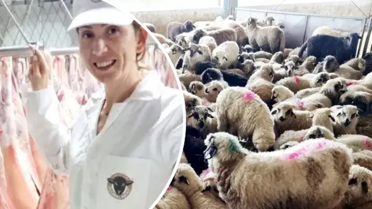 Produsul ingenios cu care o familie care deține un abator de ovine vrea să dea lovitura pe piață. Carnea de oaie provenită din abatorul familiei Gagea, la mare căutare în Europa și în țările arabe